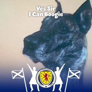 Meet your Posher, Gerry